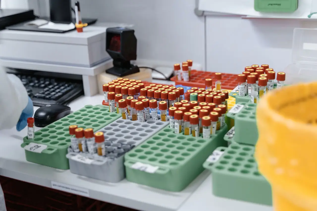 Laboratory Blood Samples Organized in Trays