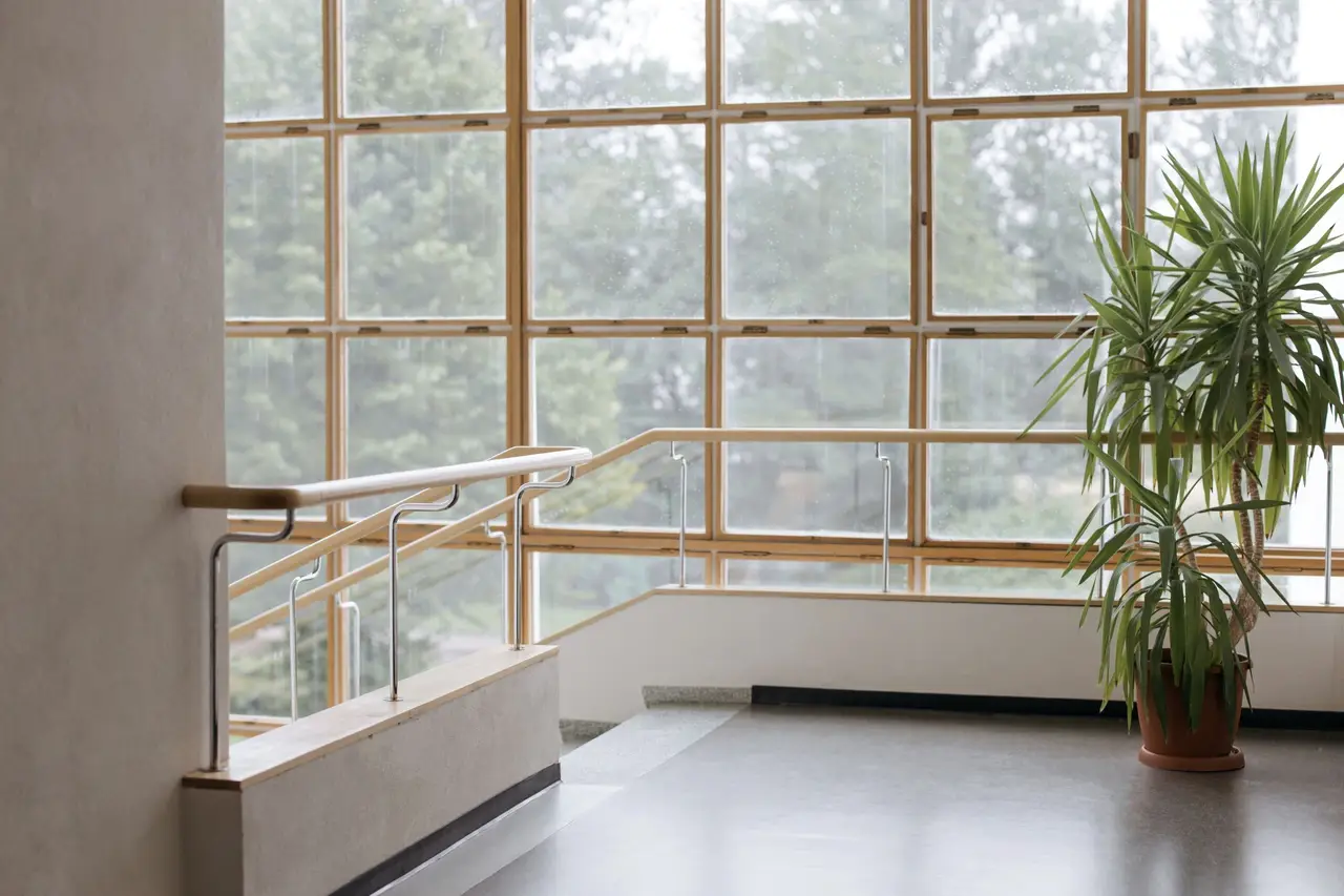 Plant Standing by a Window and a Staircase in a Modern Building 